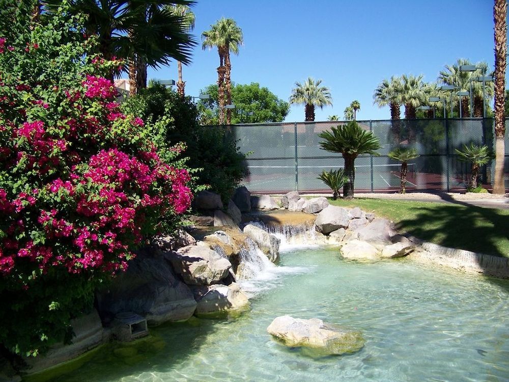 The Oasis Resort Palm Springs Einrichtungen foto